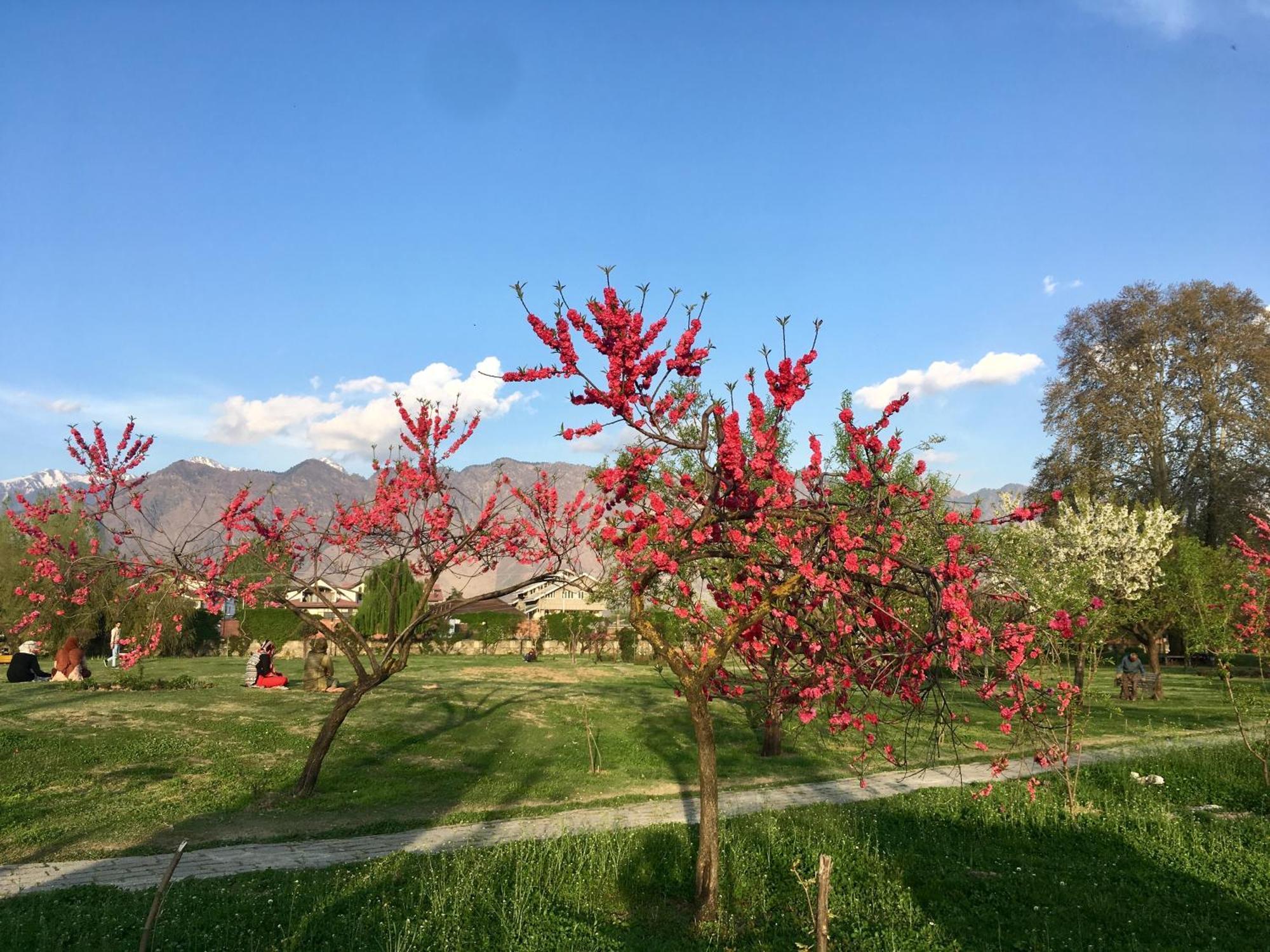 فندق هاوسبووت ليلي أو ناجيين Srīnagar المظهر الخارجي الصورة